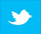 twitter Icon